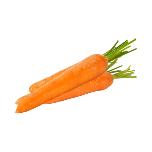 Fresh Jumbo Carrot – sold by unit