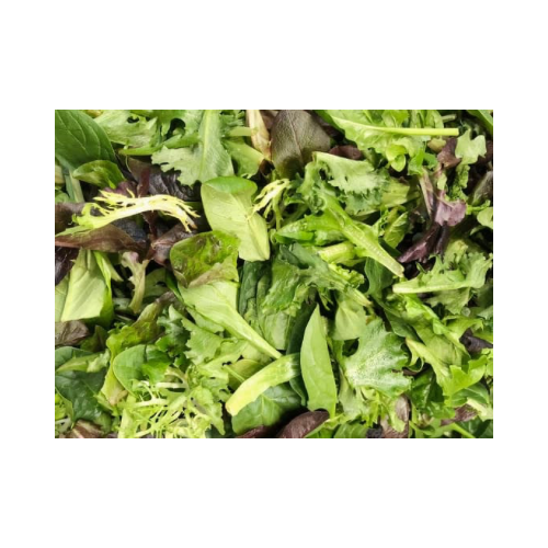 Spring Mix – Fresh, Tender Salad Greens