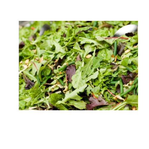 Spring Mix – Fresh, Tender Salad Greens